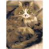 Пушистая кошка 60х80 Раскраска картина по номерам на холсте