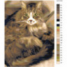 Пушистая кошка 75х100 Раскраска картина по номерам на холсте