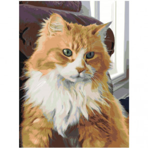 Рыжая кошка 60х80 Раскраска картина по номерам на холсте