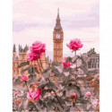 Лондонские розы Раскраска картина по номерам на холсте