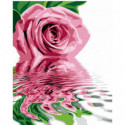 Отражение розы Раскраска картина по номерам на холсте
