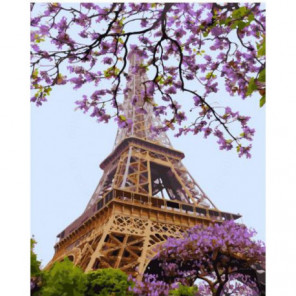 Очарование Парижа Раскраска картина по номерам на холсте