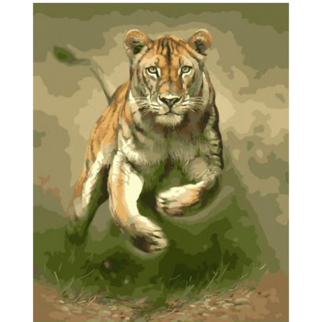 Львица-охотница Раскраска картина по номерам на холсте