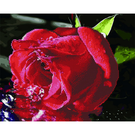  Прохлада для розы Алмазная картина-раскраска по номерам на подрамнике GZS1074