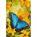 Лазурная бабочка Раскраска картина по номерам на холсте
