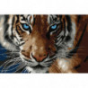 Голубоглазый тигр Раскраска картина по номерам на холсте