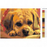 Грустный щенок Раскраска картина по номерам на холсте