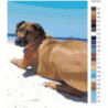 Собака на пляже 60х80 Раскраска картина по номерам на холсте