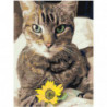 Кошка с цветком Раскраска картина по номерам на холсте