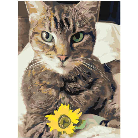 Кошка с цветком 75х100 Раскраска картина по номерам на холсте
