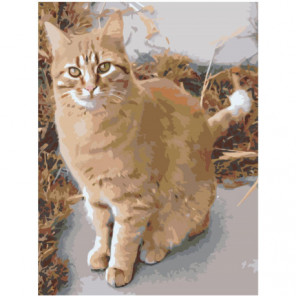 Рыжая кошка Раскраска картина по номерам на холсте