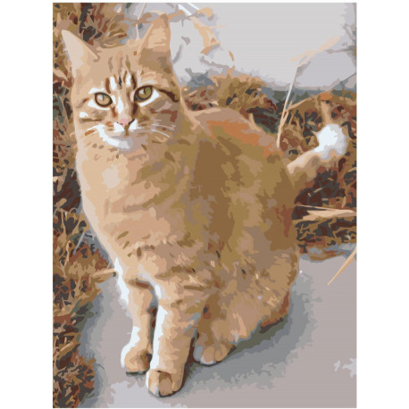 Рыжая кошка Раскраска картина по номерам на холсте