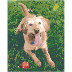 Пёс с мячиком Раскраска картина по номерам на холсте