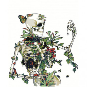 Скелет с цветами и пауком Раскраска картина по номерам на холсте