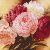  Оттенки розового Раскраска картина по номерам на холсте KH0715