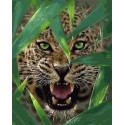 Оскал гепарда Раскраска картина по номерам на холсте