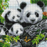  Милые панды Алмазная вышивка мозаика на подрамнике UС178