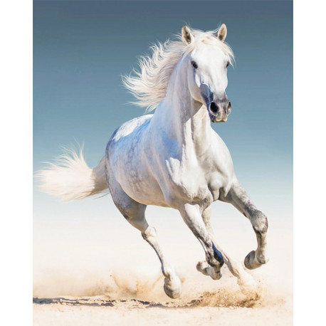  Белая лошадь Алмазная мозаика на подрамнике LG192