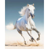  Белая лошадь Алмазная мозаика на подрамнике LG192