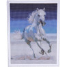 Фото холста Белая лошадь Алмазная мозаика на подрамнике LG192