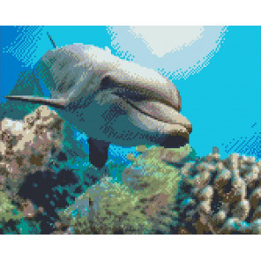 Фото холста Добрый дельфин Алмазная мозаика на подрамнике LG222