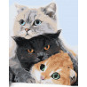  Три кота Раскраска картина по номерам на холсте AAAA-KT2
