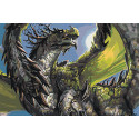  Зеленый дракон Раскраска картина по номерам на холсте AAAA-GDS112-80x120