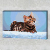 Пример в интерьере Бенгальская кошка Раскраска картина по номерам на холсте AAAA-RS017