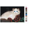 Палитра цветов Персидская кошка с розами Раскраска картина по номерам на холсте AAAA-RS018-100x150