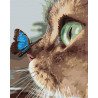  Котёнок и бабочка на носу Раскраска картина по номерам на холсте AAAA-JV3