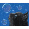  Черный кот и мыльные пузыри Раскраска картина по номерам на холсте AAAA-JV1