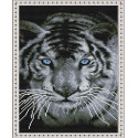 Взгляд белого тигра Алмазная вышивка мозаика на подрамнике