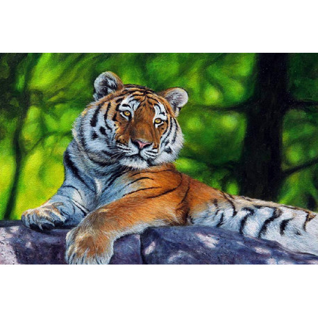  Амурский тигр Раскраска по номерам на холсте KH0875