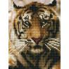  Портрет тигра Алмазная частичная вышивка (мозаика) Molly KM0726
