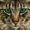  Бенгальская кошка Алмазная мозаика вышивка на подрамнике Molly KM0671