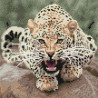  Леопард Алмазная мозаика вышивка на подрамнике Molly KM0672