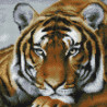  Задумчивый тигр Алмазная мозаика вышивка на подрамнике Molly KM0682