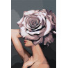  Девушка. Цветочная голова - роза Раскраска картина по номерам на холсте AAAA-RS024-100x150