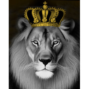 korol lev raskraska kartina po nomeram na holste картина по номерам mayot