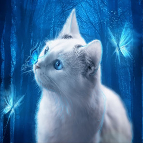  Голубоглазая кошка Алмазная мозаика вышивка без подрамника Molly KM0218