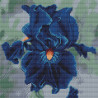  Синий ирис Алмазная мозаика вышивка без подрамника Molly KM0230