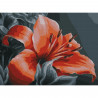  Оранжевая лилия Картина по номерам с цветной схемой на холсте KK0669