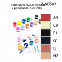 Дополнительные краски для раскраски Z-AB503