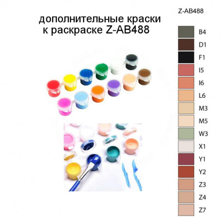 Дополнительные краски для раскраски Z-AB488
