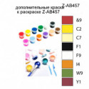 Дополнительные краски для раскраски Z-AB457