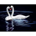 Влюбленные лебеди на пруду Алмазная вышивка (мозаика) Гранни