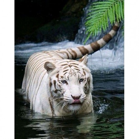 Белый тигр в воде Алмазная вышивка (мозаика) Гранни