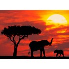 Африканские слоны на закате Алмазная вышивка (мозаика) Гранни