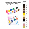 Дополнительные краски для раскраски PA63