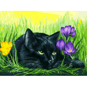  Кот и крокусы Раскраска картина по номерам на картоне Белоснежка 3113-CS
